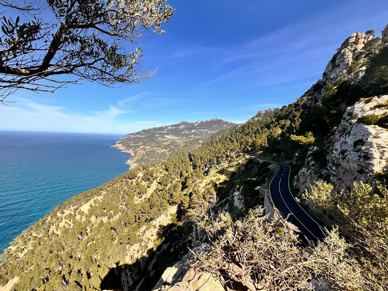 Rustic Plot in Son Fortuny – Estellencs, in the Heart of the Serra de Tramuntana — photo 8