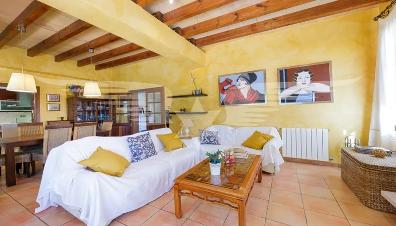 Mallorcan finca in the Tramuntana mountains — photo 2