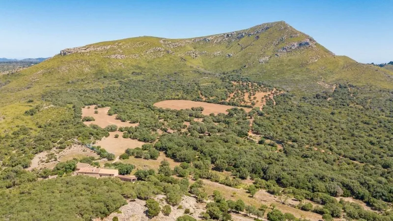 Rural or Farmhouse in Artà, Province of Balearic Islands — photo 8