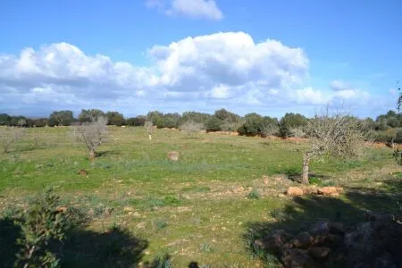 Rustic property - Manacor (Afueras), Built Surface 10m², Plot Surface 42985m² — photo 12