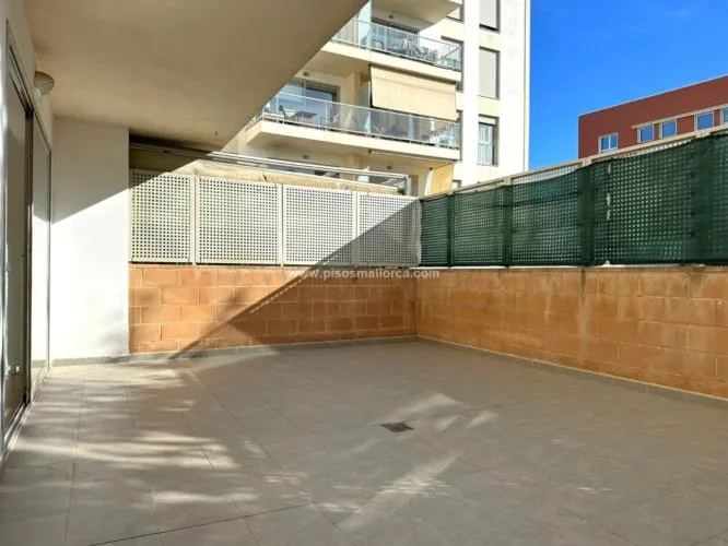 Ground floor. Palma de Mallorca, Son Dameto area — photo 4