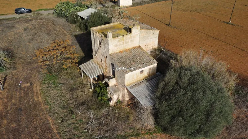 Rustic finca in Campos — photo 3