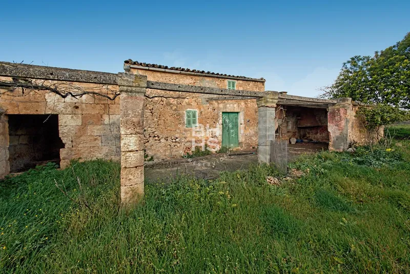 Rustic Finca for sale in María de la Salut — photo 5