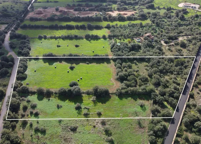 Buildable plot in Ses Salines, Mallorca — photo 6