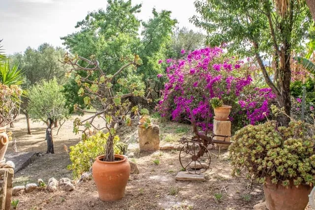 Finca/Country House for sale in Andratx, Mallorca — photo 6
