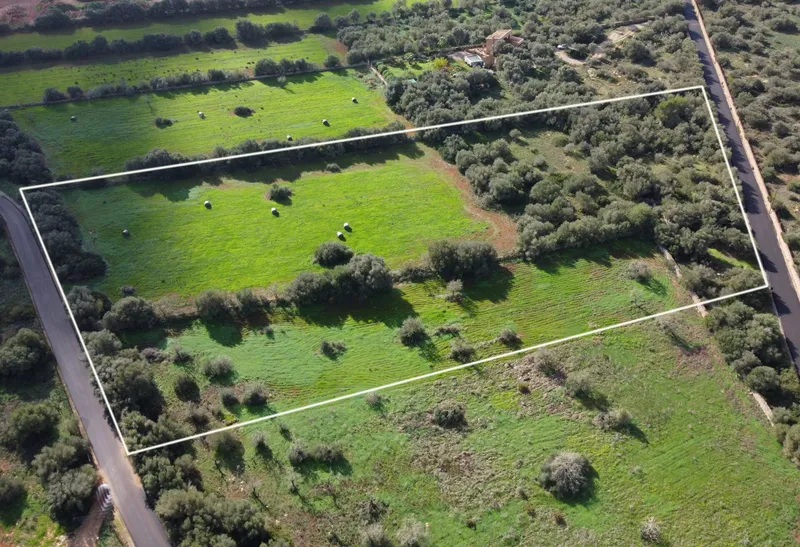 Buildable plot in Ses Salines, Mallorca — photo 7