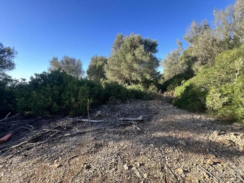 Charming building plot with license and panoramic views in Alcudia — photo 5