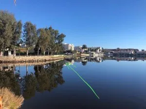 Plot with Lake Esperanza License in Alcudia — photo 4