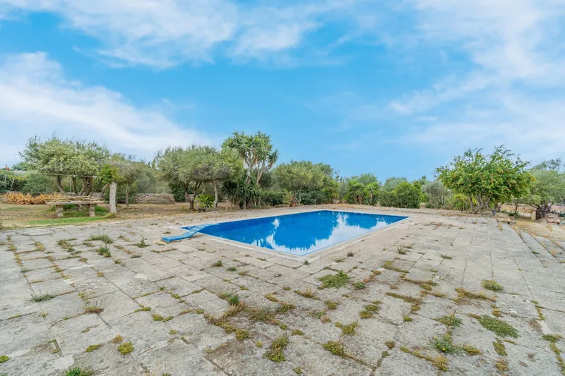 Farm with swimming pool — photo 4