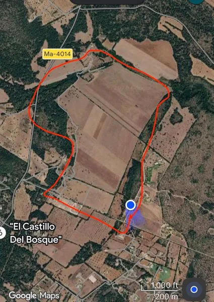 Finca/Country House for rent in Portocolom, Felanitx, Mallorca — photo 3