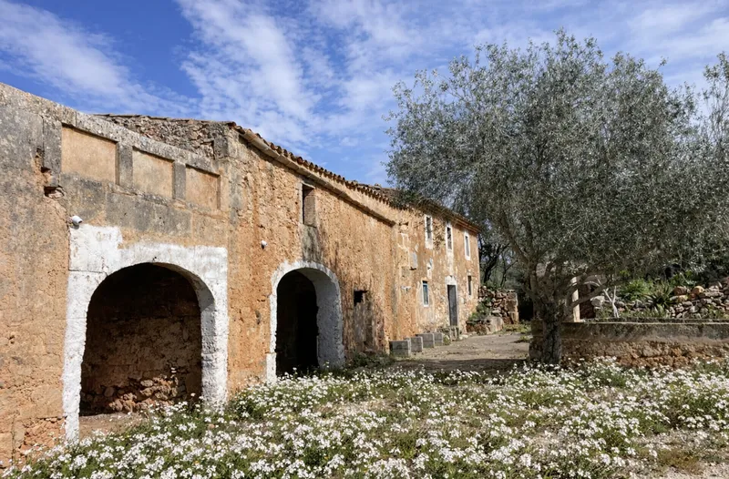 Rustic finca for full renovation with distant views of the Sierra de Tramuntana, Campos — photo 2