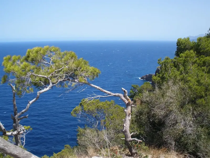 This 350 m2 stone-clad villa, built in the 1960s in the exclusive Formentor urbanization in northern Mallorca, impresses — photo 9