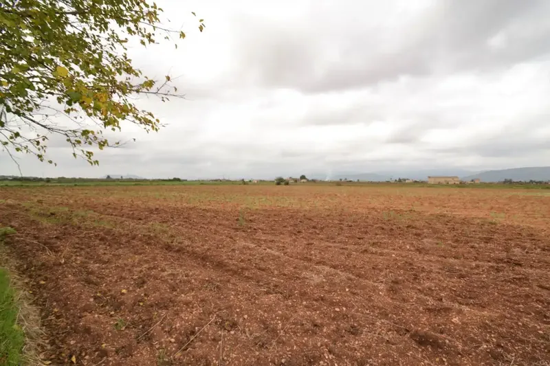 Plot of 15300 square meters with tool shed to be renovated — photo 12