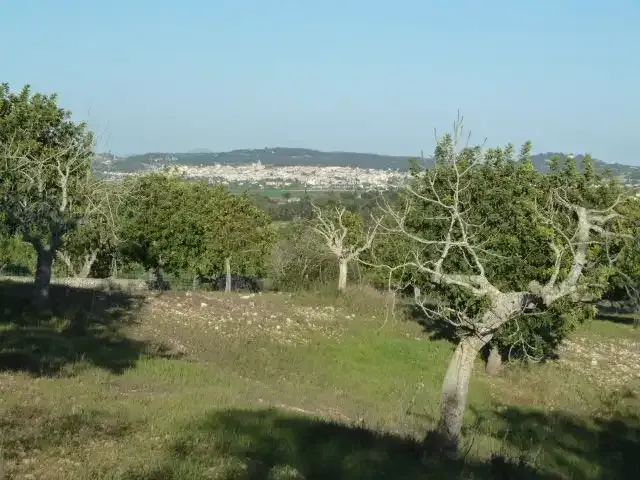 Rustic estate for sale in Algaida, on cemetery road and old road to Randa. Property currently in ANEI area. — photo 1