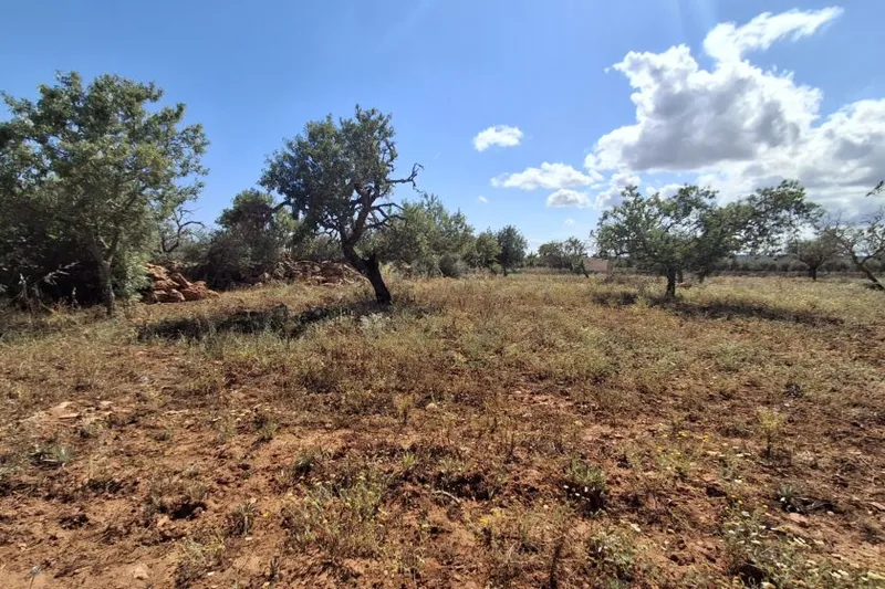 Plot with partial sea views between Cas Concos and Santanyí T 15 — photo 3