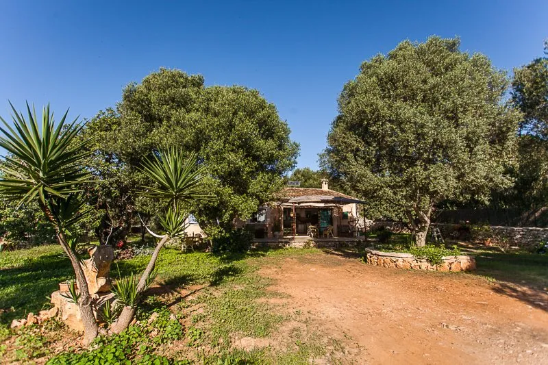 Rustic, furnished casita in the countryside near Alqueria Blanca-Santanyi -- F 66 LZ — photo 3