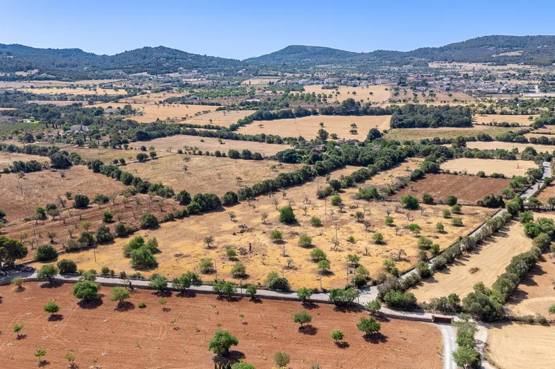 Building Plot with Approved Finca Project near Cas Concos — photo 1