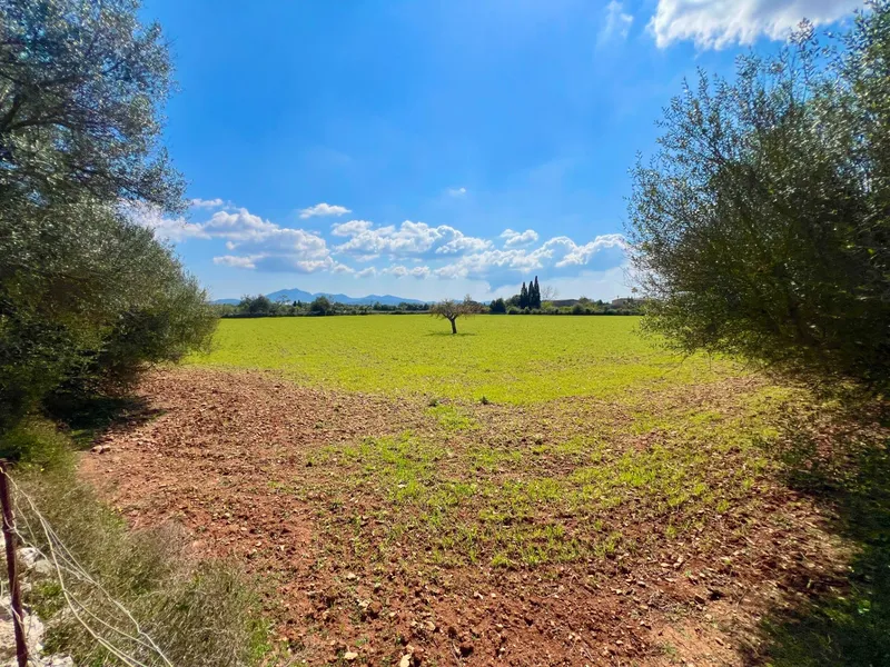 Rustic plot of 14,884 m² between Porreres and Felanitx with spectacular views of Sant Salvador — photo 9