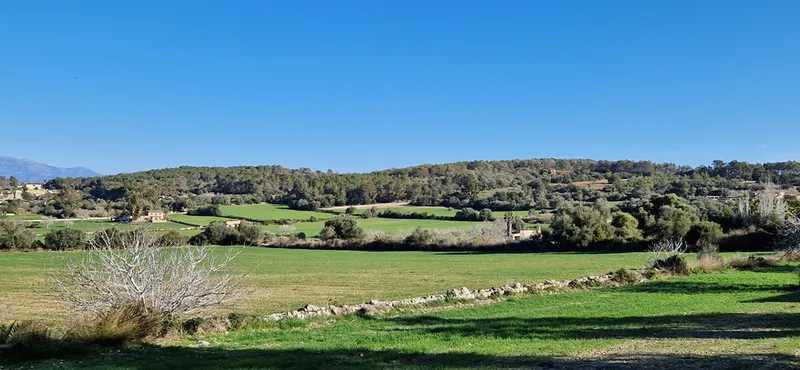 Country house project, 34,000 m² with building permit, mountain views, Montuiri — photo 9
