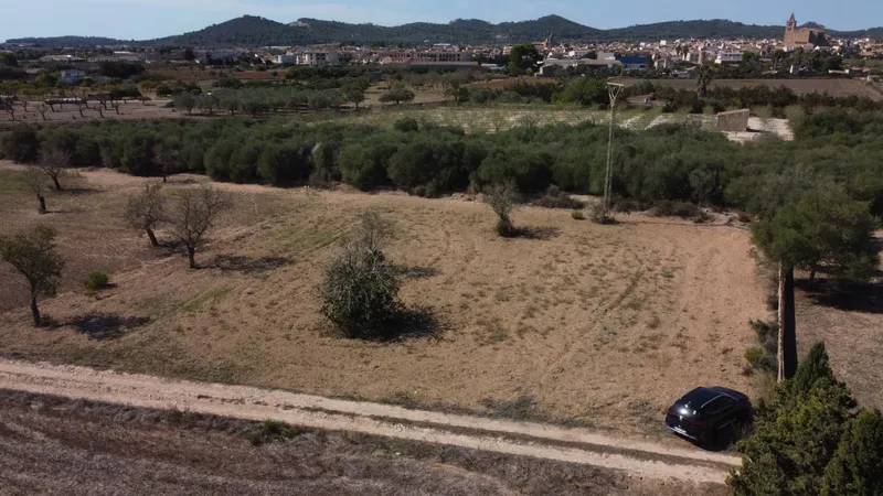 Rustic plot of 1,753 m² near Porreres — photo 8