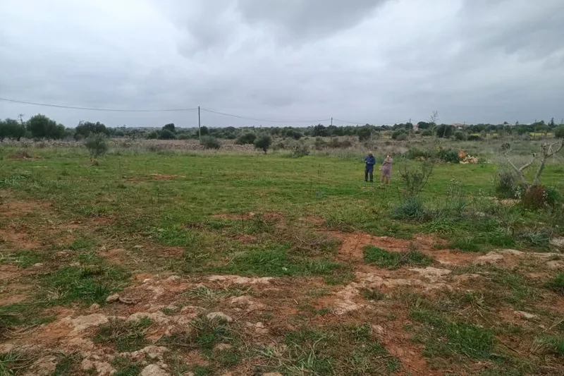 Flat plot with project near Manacor — T 09 — photo 1