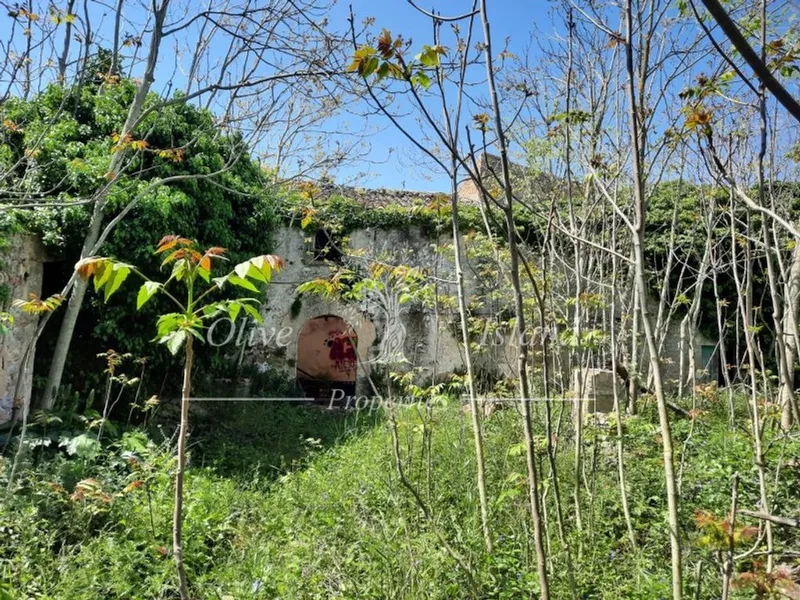 Mansion in Binissalem, Province of Balearic Islands — photo 4