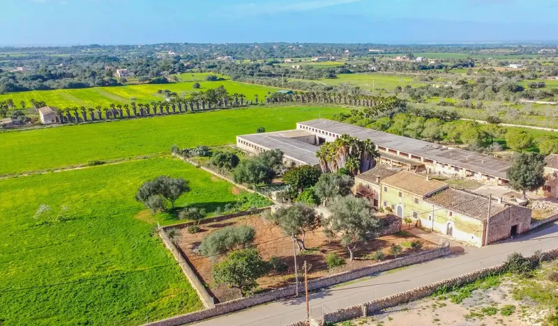Charming rustic finca with great renovation potential in Ses Salines πΏ β photo 2