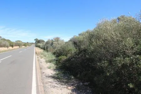 Rustic land - Llucmajor (Cala Pi-Vallgornera), plot surface 100,158 m², distance to the sea 3 km — photo 1