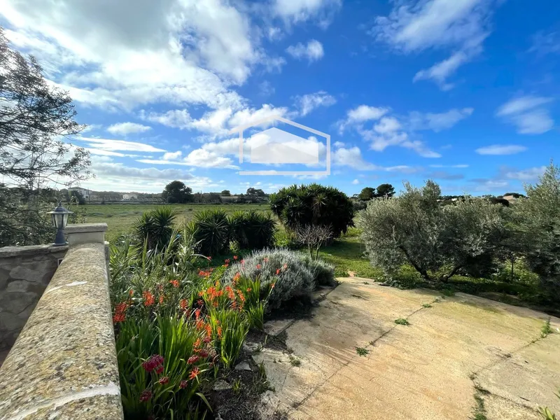 Legalized rustic finca with olive grove, privacy and great potential a few minutes from Colònia de Sant Jordi — photo 11