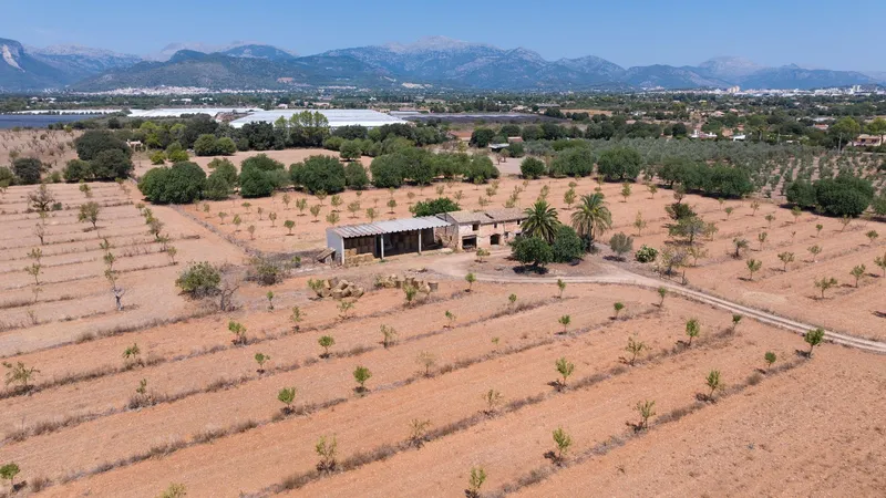 Luxury Mallorca Finca for sale in Binissalem — photo 1
