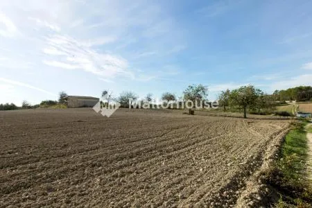 Urbanizable land - Llubí (Llubi), Plot Surface 25600m², Distance to the sea 15 Km. — photo 3