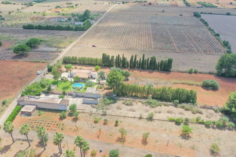Small finca near Felanitx — photo 10