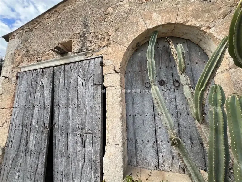 finca in Llubi — photo 5