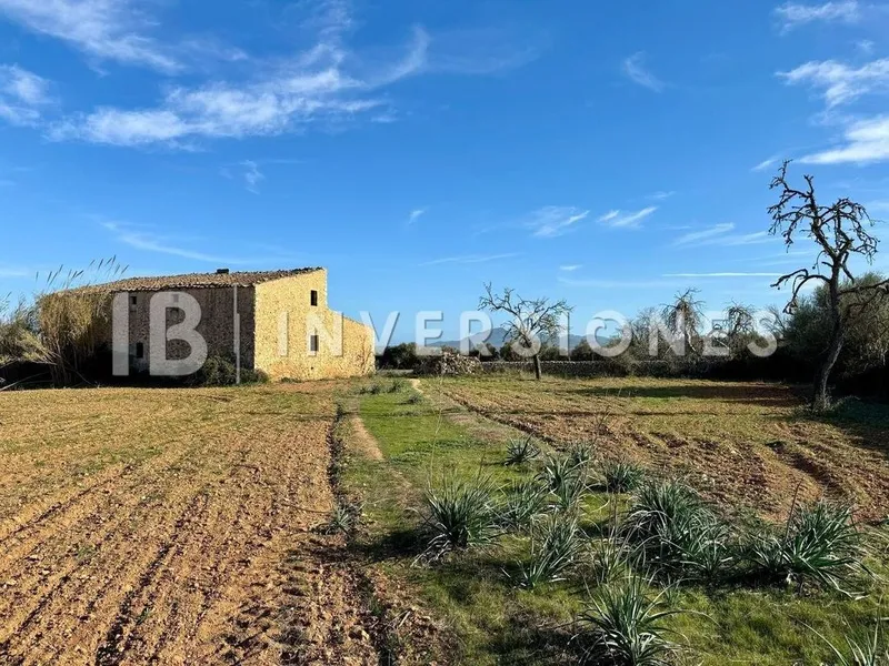 Rural or Farmhouse in Felanitx, Province of Balearic Islands — photo 4