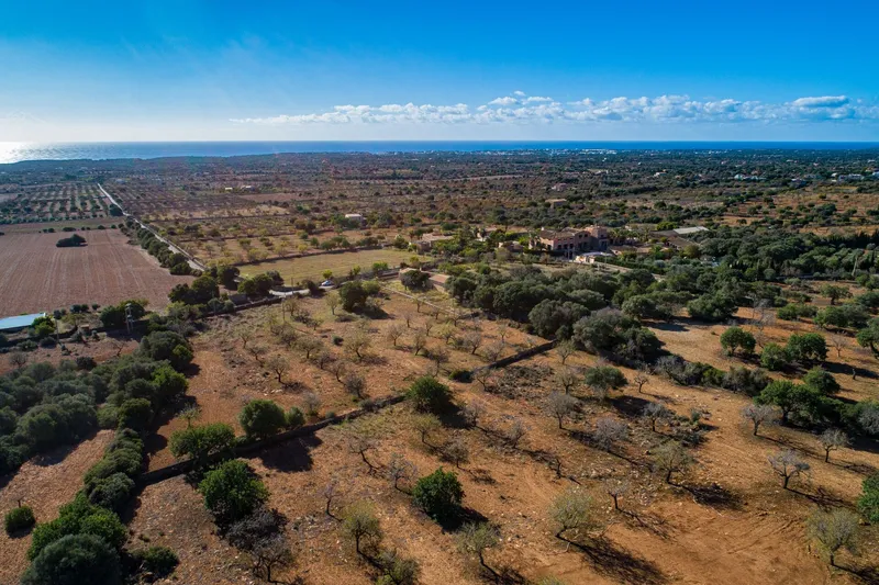 Buildable plot near S'Horta with approved finca project and sea views — photo 4