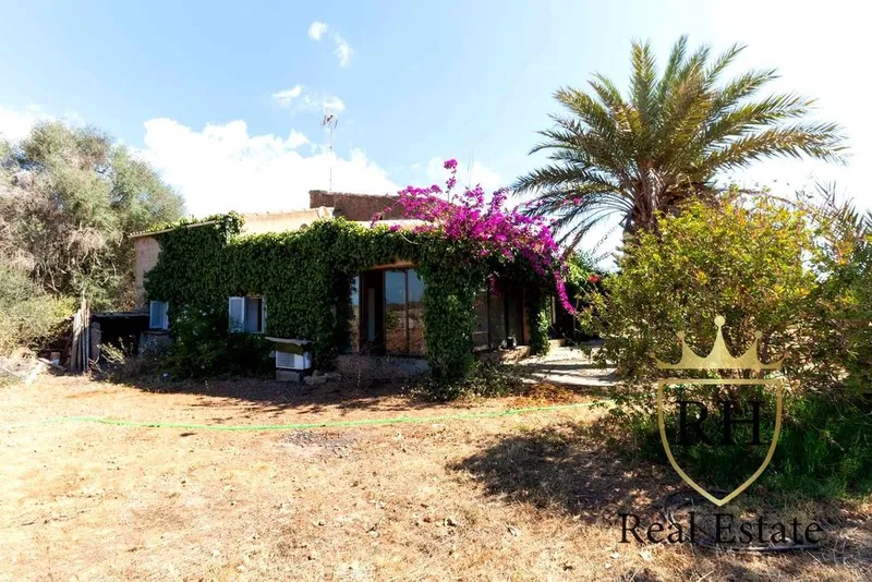 Townhouse in Santanyí, Province of Balearic Islands — photo 1