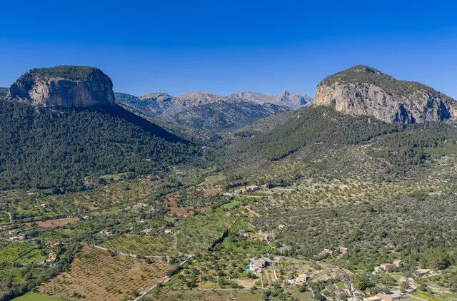 Multi-family plot for sale on the outskirts of Alaró town, Central Mallorca — photo 6