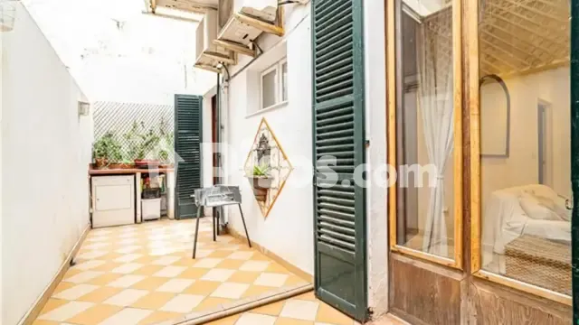 Apartment in La Seu — photo 1