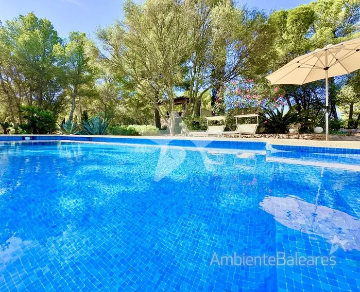 Authentic finca property with Mediterranean flair — photo 2