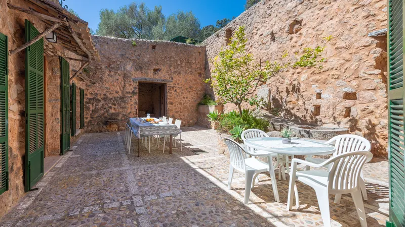 Historic estate for sale with vacation rental and its own olive oil production in Esporles — photo 11