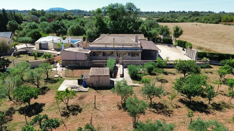 Rustic finca with pool, views and own olive oil production in Santa Eugènia — photo 5