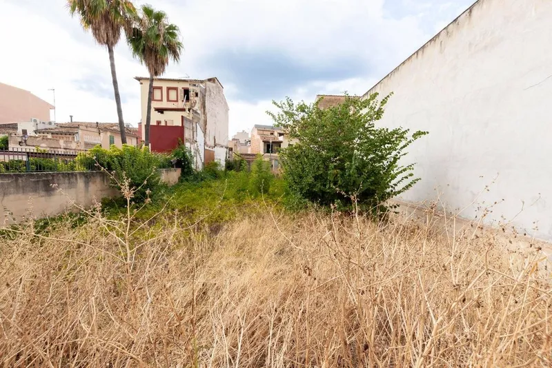 Land in Andratx, Province of Balearic Islands — photo 9
