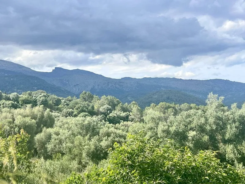 Land in Campanet, Province of Balearic Islands — photo 1