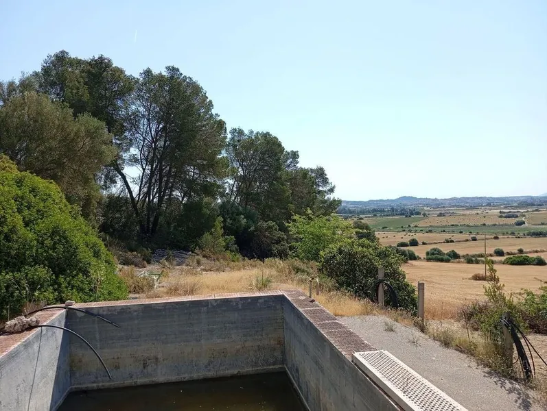 Rural or Farmhouse in Lloret de Vistalegre, Province of Balearic Islands — photo 11