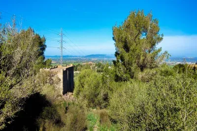 Farm in Manacor — photo 3