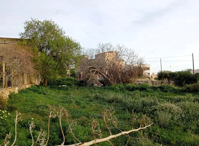 Exclusive plot with sea views and great development potential in Alquería Blanca — photo 5