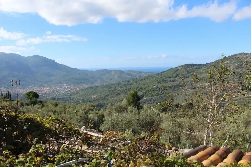 An old stone house with so much land sounds incredible! — photo 1