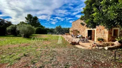 House in Sencelles — photo 5