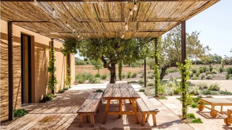 Modern, eco-conscious House for sale in Campos, on the south of Mallorca — photo 3