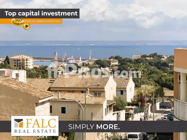 Apartment in Cala Major — photo 1